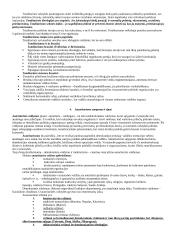 Politologijos mokslo objektas 13 puslapis