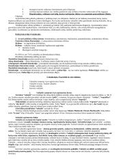 Politologijos mokslo objektas 14 puslapis