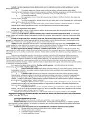 Politologijos mokslo objektas 15 puslapis