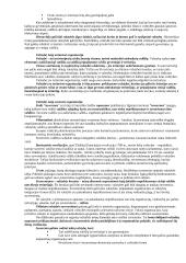 Politologijos mokslo objektas 16 puslapis