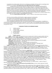 Politologijos mokslo objektas 3 puslapis