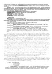 Politologijos mokslo objektas 4 puslapis