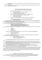 Politologijos mokslo objektas 5 puslapis