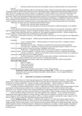 Politologijos mokslo objektas 10 puslapis