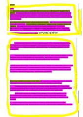 Arabų ristūnai  2 puslapis