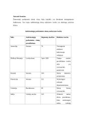 Politikos samprata ir politologija 11 puslapis