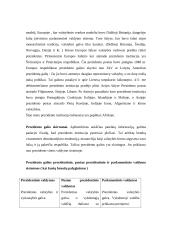 Politikos samprata ir politologija 19 puslapis