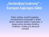 Europos Sąjunga 7 puslapis