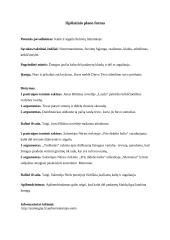 Kaltė ir atgaila lietuvių literatūroje (kalbėjimo planas)