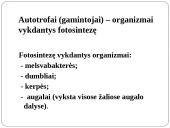 Fotosintezė 2 puslapis