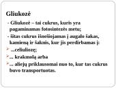 Fotosintezė 5 puslapis