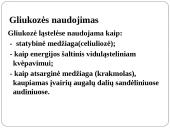 Fotosintezė 7 puslapis