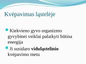 Aerobinis, anaerobinis kvėpavimas 2 puslapis