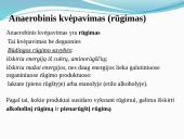 Aerobinis, anaerobinis kvėpavimas 11 puslapis
