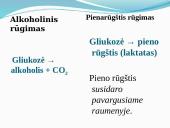 Aerobinis, anaerobinis kvėpavimas 12 puslapis