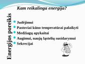 Aerobinis, anaerobinis kvėpavimas 4 puslapis