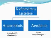 Aerobinis, anaerobinis kvėpavimas 5 puslapis
