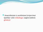 Aerobinis, anaerobinis kvėpavimas 6 puslapis