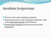 Aerobinis, anaerobinis kvėpavimas 7 puslapis