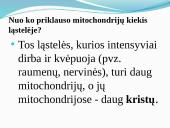 Aerobinis, anaerobinis kvėpavimas 10 puslapis