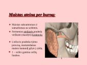 Fermentai. Virškinimas 12 puslapis