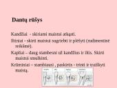 Fermentai. Virškinimas 13 puslapis