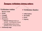 Fermentai. Virškinimas 3 puslapis