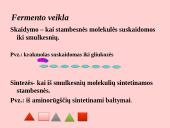 Fermentai. Virškinimas 5 puslapis