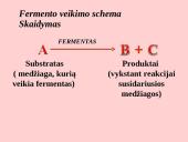 Fermentai. Virškinimas 6 puslapis