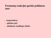 Fermentai. Virškinimas 9 puslapis