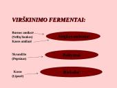 Fermentai. Virškinimas 10 puslapis