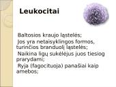 Limfinė sistema. Kraujas 10 puslapis