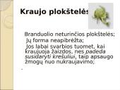 Limfinė sistema. Kraujas 13 puslapis
