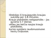 Limfinė sistema. Kraujas 14 puslapis