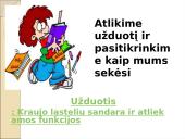 Limfinė sistema. Kraujas 16 puslapis