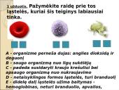 Limfinė sistema. Kraujas 17 puslapis