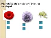 Limfinė sistema. Kraujas 18 puslapis