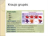 Limfinė sistema. Kraujas 19 puslapis