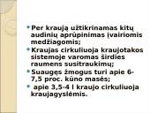 Limfinė sistema. Kraujas 3 puslapis