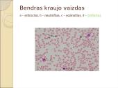 Limfinė sistema. Kraujas 4 puslapis