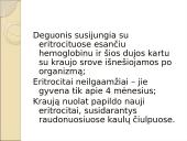 Limfinė sistema. Kraujas 8 puslapis