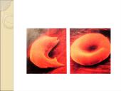 Limfinė sistema. Kraujas 9 puslapis