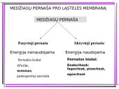 Aktyvioji medžiagų pernaša 2 puslapis