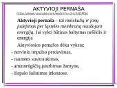 Aktyvioji medžiagų pernaša 11 puslapis