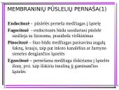 Aktyvioji medžiagų pernaša 13 puslapis