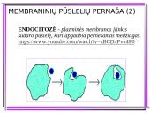 Aktyvioji medžiagų pernaša 14 puslapis