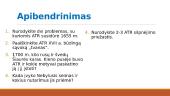 ATR politinis nuosmukis 20 puslapis