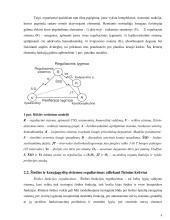 Individualių treniruočių ir kvėpavimo pratimų įtaka širdies nepakankamumu sergančių asmenų organizmui 7 puslapis
