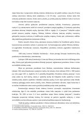 Lietuvos valstybės konstitucingumo raidos istoriniai tarpsniai 20 puslapis