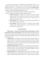 Prekių ydos (defektai) 3 puslapis